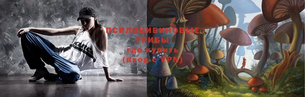 герыч Мегион
