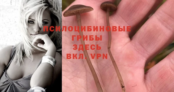 герыч Мегион