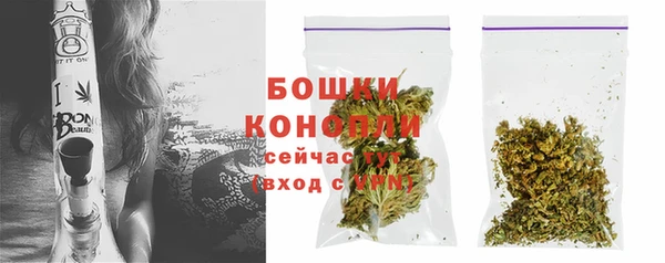 герыч Мегион