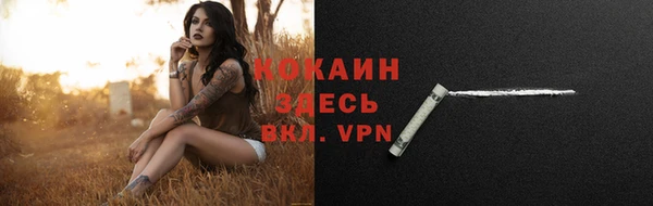 герыч Мегион