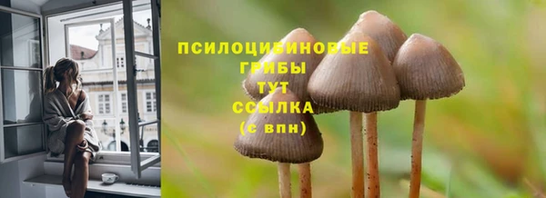 герыч Мегион