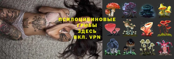 мдпв Медвежьегорск