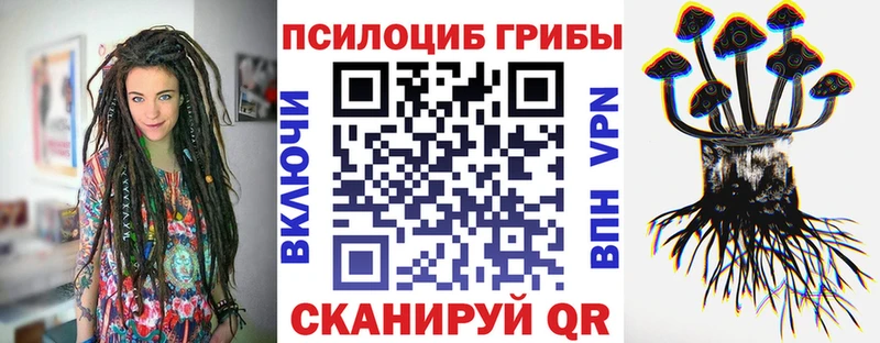Псилоцибиновые грибы Magic Shrooms  хочу наркоту  Добрянка 