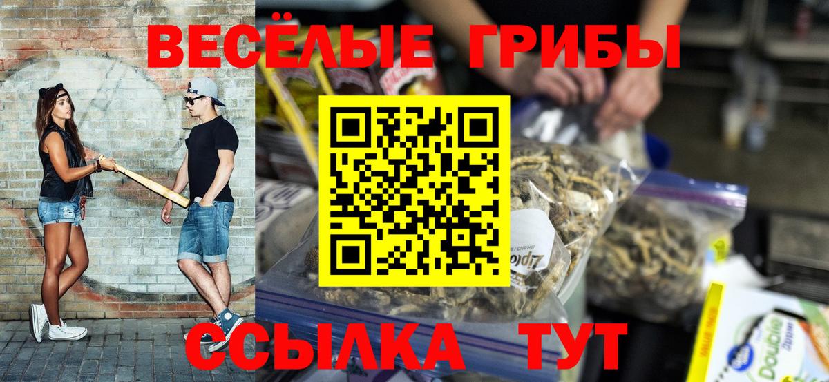 Галлюциногенные грибы Psilocybe  Псилоцибиновые грибы MAGIC MUSHROOMS  что такое наркотик  Вход с VPN  Добрянка 