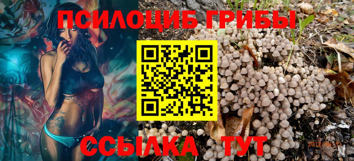 Галлюциногенные грибы мухоморы Добрянка