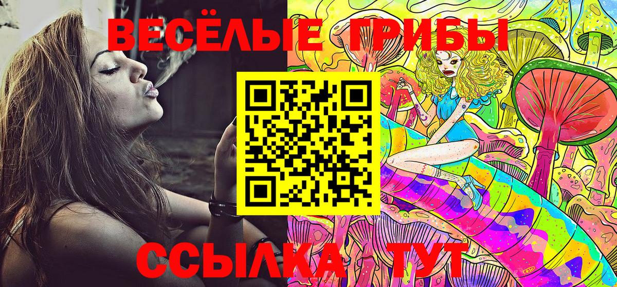 Галлюциногенные грибы GOLDEN TEACHER  цены наркотик  Добрянка  Псилоцибиновые грибы Magic Shrooms 