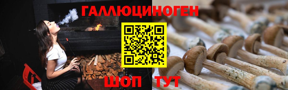 Псилоцибиновые грибы MAGIC MUSHROOMS Добрянка